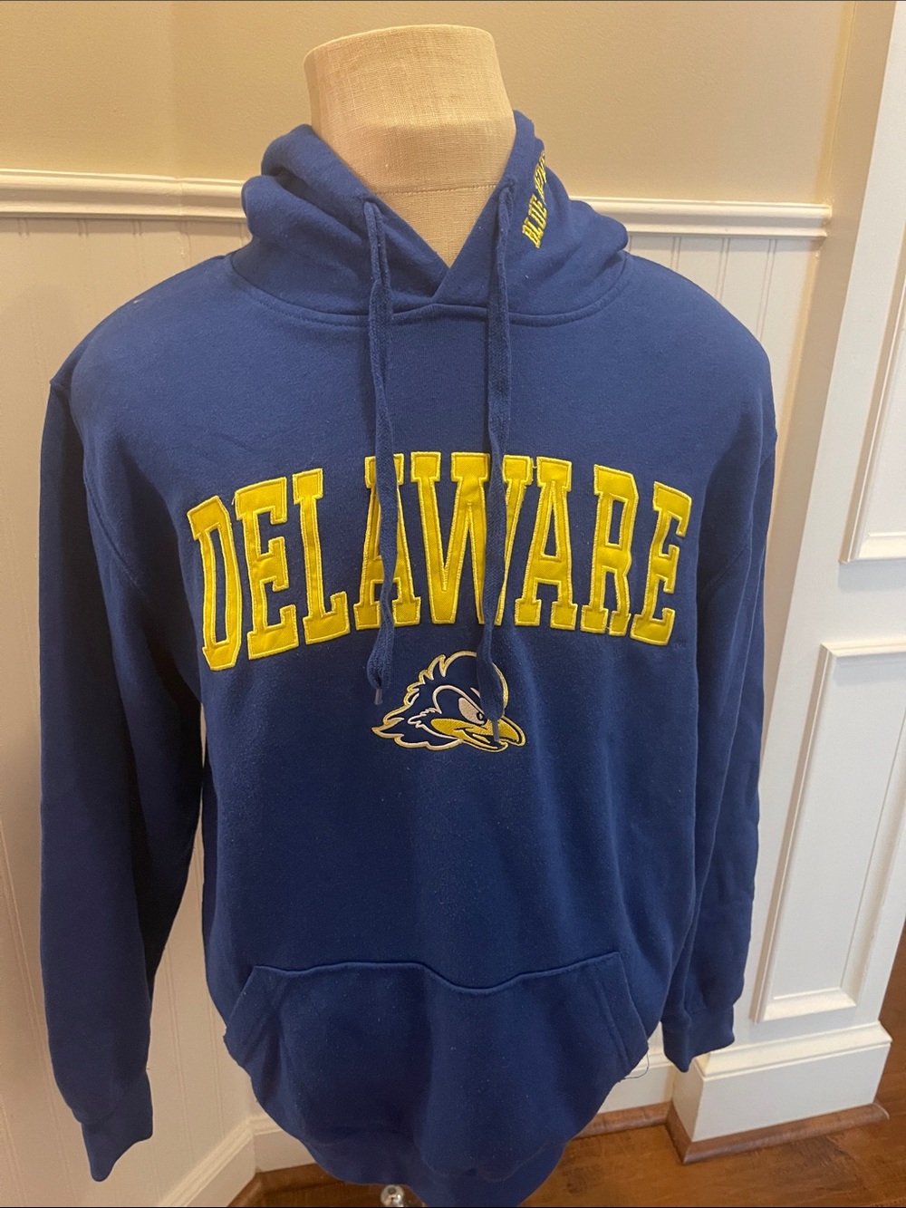 University of Delaware hoodie with embroidered lettering and blue hen! Size M.